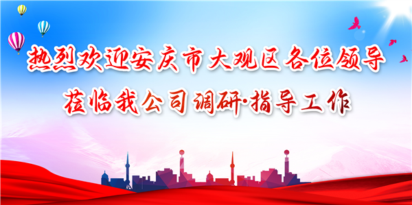 安慶市大觀(guān)區(qū)領(lǐng)導(dǎo)蒞臨我公司調(diào)研工作，為發(fā)展注入新動(dòng)力